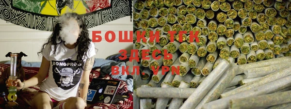 МДПВ Краснослободск