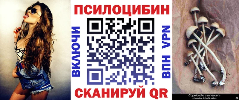 Купить где  Реутов  Галлюциногенные грибы мицелий 